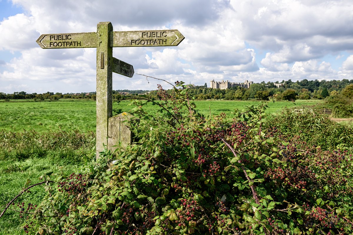 Justin Alexander Miles tweet media