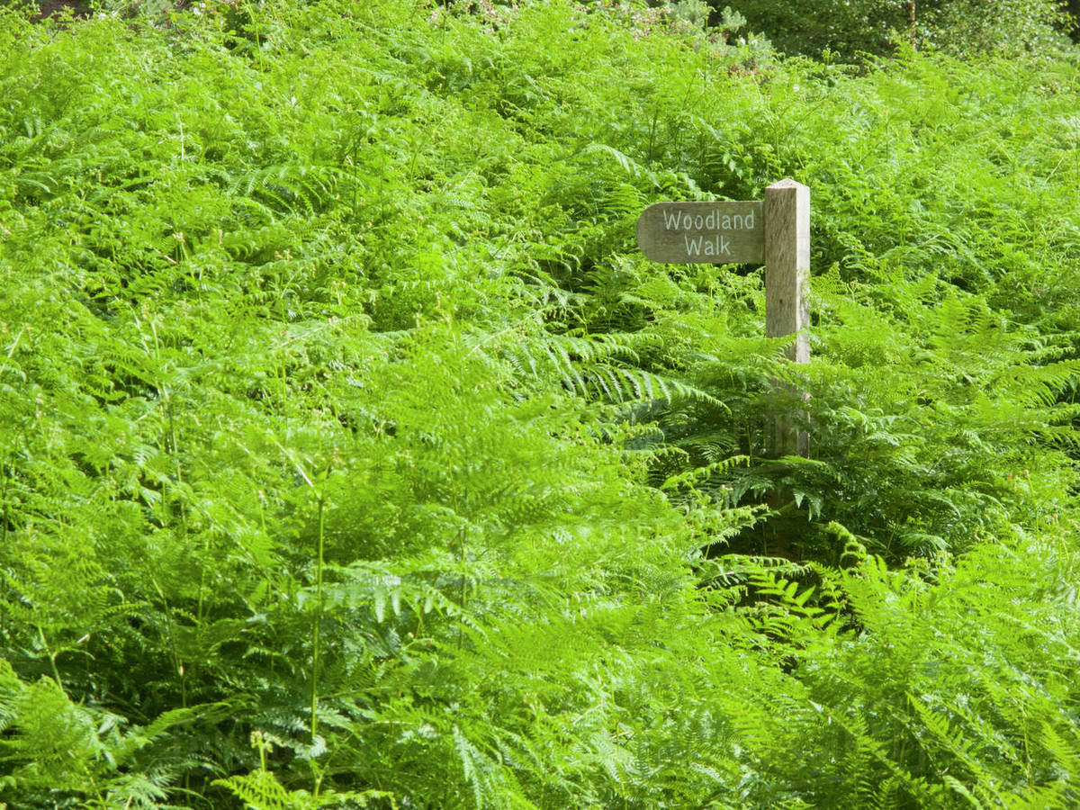 Oh, I wonder where this way goes🤔
Follow the Footpath😆
Anyone else been doing lots of this
The last months? 😉