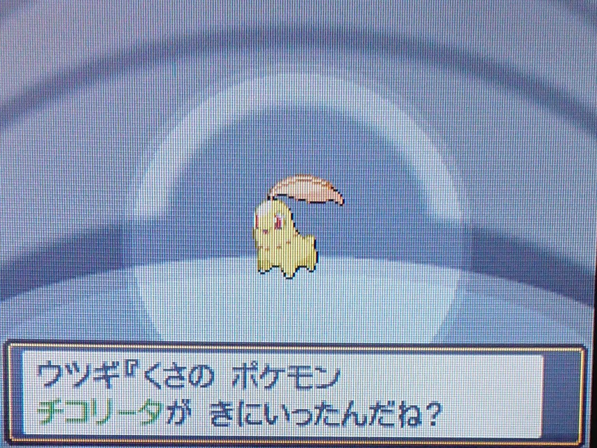 ウツギリセット