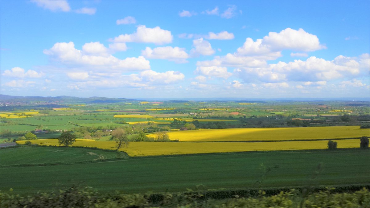 Liz Hill tweet media