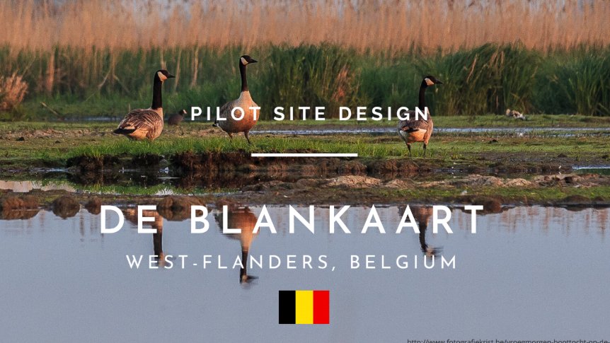 🇧🇪 Pilot site: De Blankaart

▪️ Goals: Wetland restoration and rewetting. Increase of Carbon stock. Use of biomass for on-farm composting and compost use on arable land.

More information: bit.ly/3c2kPE1

#peatland #InterregNWE #peatlandmatters