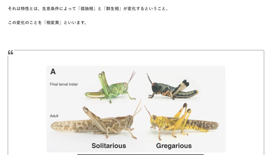タコさん Twitterren アフリカのバッタの繁殖問題 蝗害について検索してて初めて知った バッタって周りの人口 バッタ 密度で身体つきが変わるのらしい 周りに同胞が増えすぎると 色が変わり飛行が得意になり 個人行動をやめて群れを成すようになるとかどんな