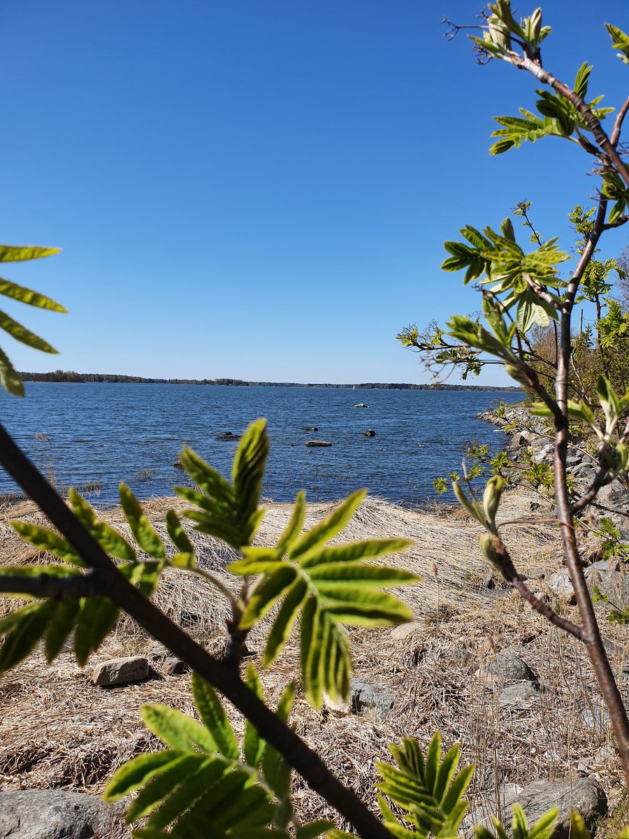 EvaToivanen's tweet photo. Spring is the best season. Nature bursts back into life in an explosion of sight and colour 🥰 
https://t.co/xmO93RTDp4 https://t.co/3woBQaU6Iu