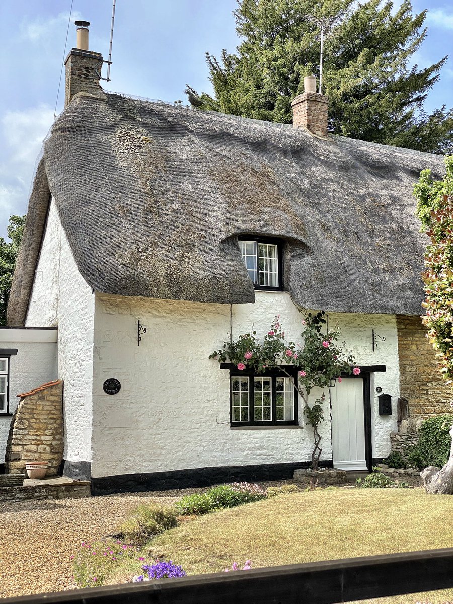 Wonderful thatched cottage in the sun. #thatchedcottage