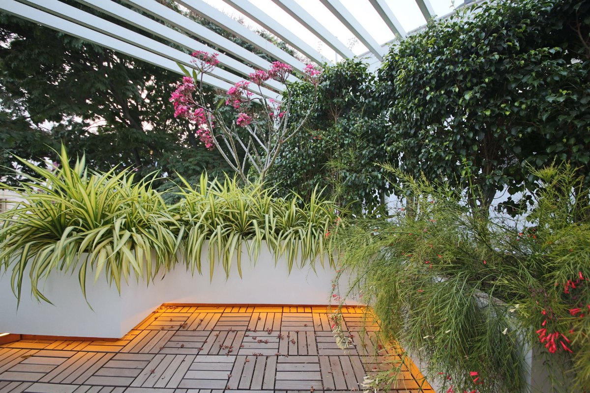 JKALandscape's tweet photo. Private Deck !!
Landscaped balcony at a private residence
#terracelandscape #rooftoplandscape #greenroof #greenroofs #landscapearchitecture #architecture #landscapedesign #exteriordesign #nature #modernlandscape #architecturestudents #studentsofarchitecture #jeyakumarassociates https://t.co/3tfgSbVZTK
