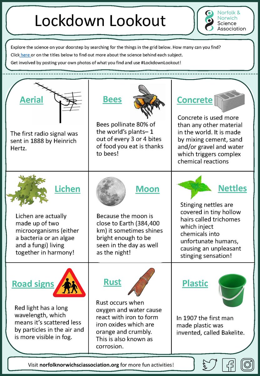 NandNSciAssoc's tweet photo. Looking for an extra something to do on you walks this #BankHolidayMonday &amp; for the #halfTerm?
Try our #LockdownLookout!
See how many of these things you can spot out and about. There's more info about each on our website &amp; we'd love to see your photos of them all too! 😁 https://t.co/7nQf13TWg2