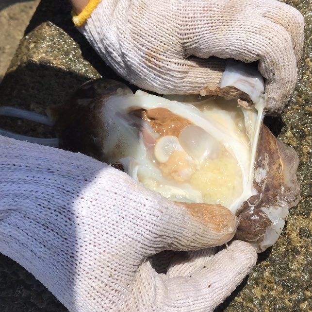 墨袋 Twitter Search Twitter 墨袋 Twitter Search Twitter