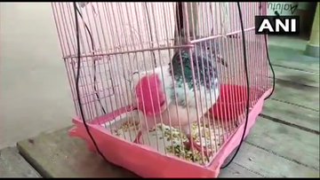 Resmi Twitter'da görüntüle