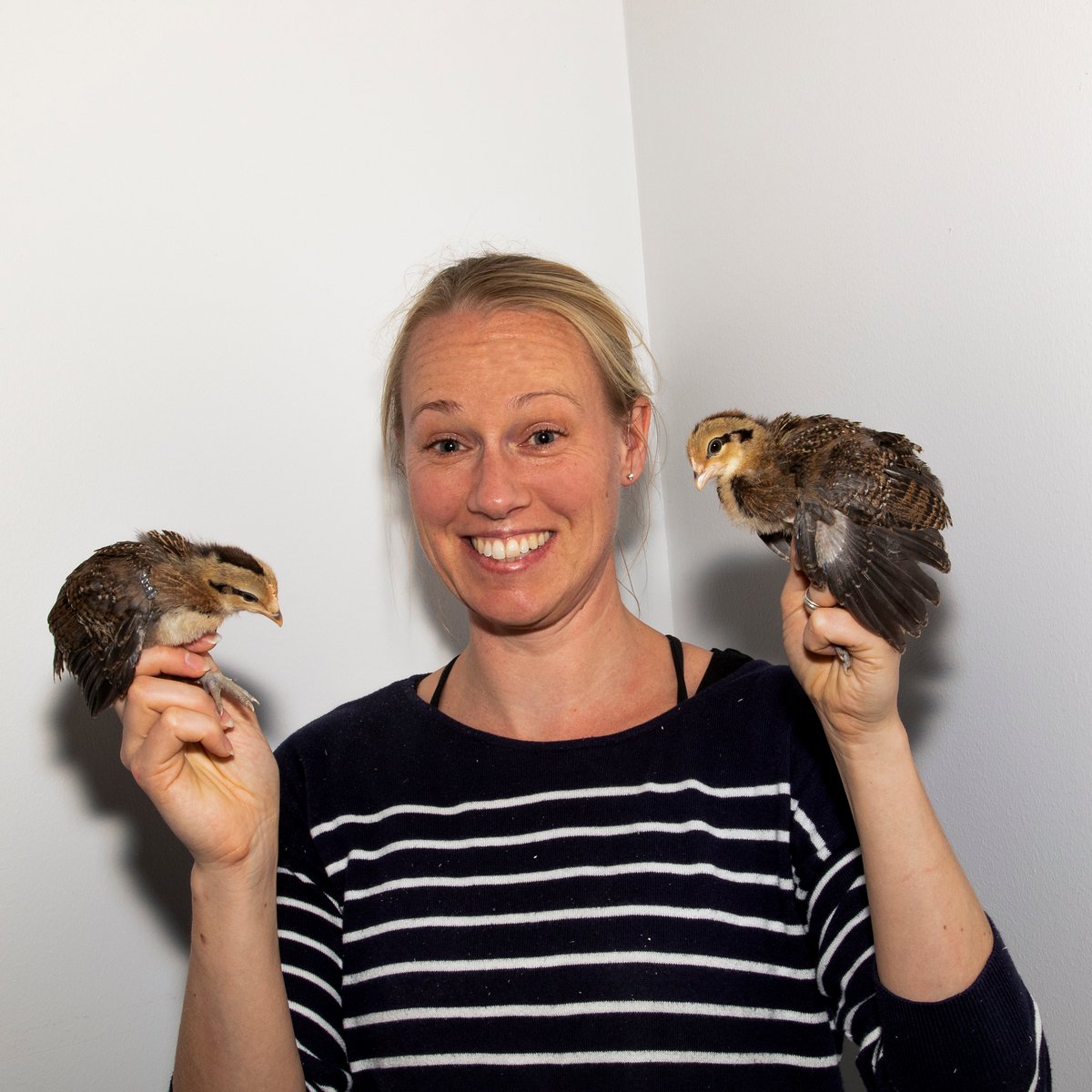 Happy that another paper on optimism in red junglefowl, is out! Well done Boddinton Gomez Dunlop et al!
link.springer.com/article/10.100…
liu.se/en/news-item/g…