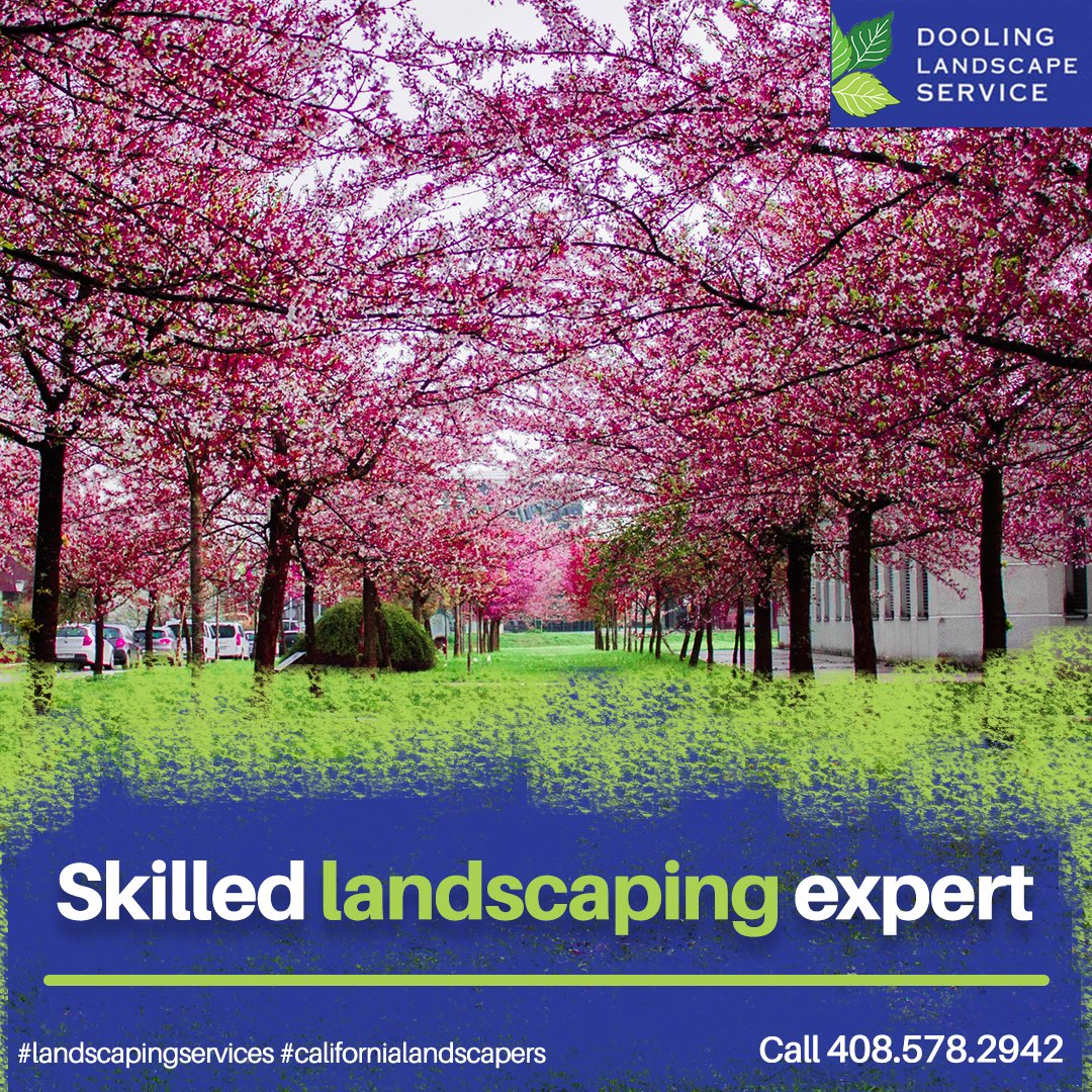 LandscapeSJ's tweet photo. Skilled landscaping experts who save you time and money. Visit us! Call 408.578.2942 for an appt. or visit https://t.co/PEuyD0qLyp! #landscapedesigner #newplant #landscapeservice #naturallandscape #landscape #greatoutdoors #naturelove #bestservice #landscapelove #garden https://t.co/uoVwlnRfGg