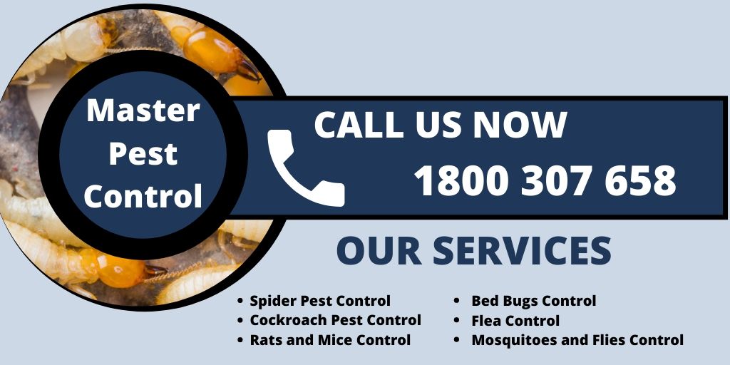 masterspestcont's tweet photo. Now don't need to get irritated from insects and Pest? Hire @masterspestcont for the most reliable #Pest_Control Service to our customers at a reasonable price. Now you can get our services at weekends in #Frankston. Reach us online for more details: https://t.co/GzKrJDafJ8 https://t.co/ScMzzdNIhf