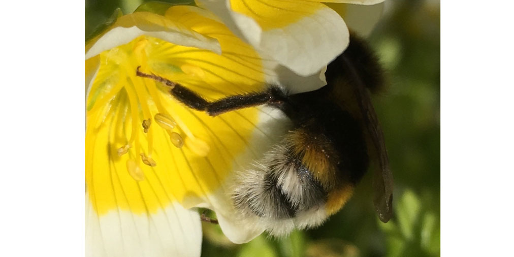 OpenUpMags's tweet image. Slow down, appreciate and photograph the natural world, say Katherine Watson of @FatGrassDesign and #themindfulphotographer Heather Greenbank ow.ly/Tjrz30qDmZi