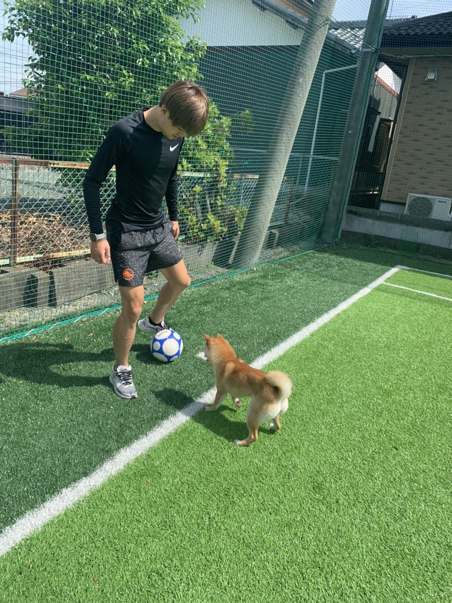 Training partner🐶

#柴犬 #豆柴