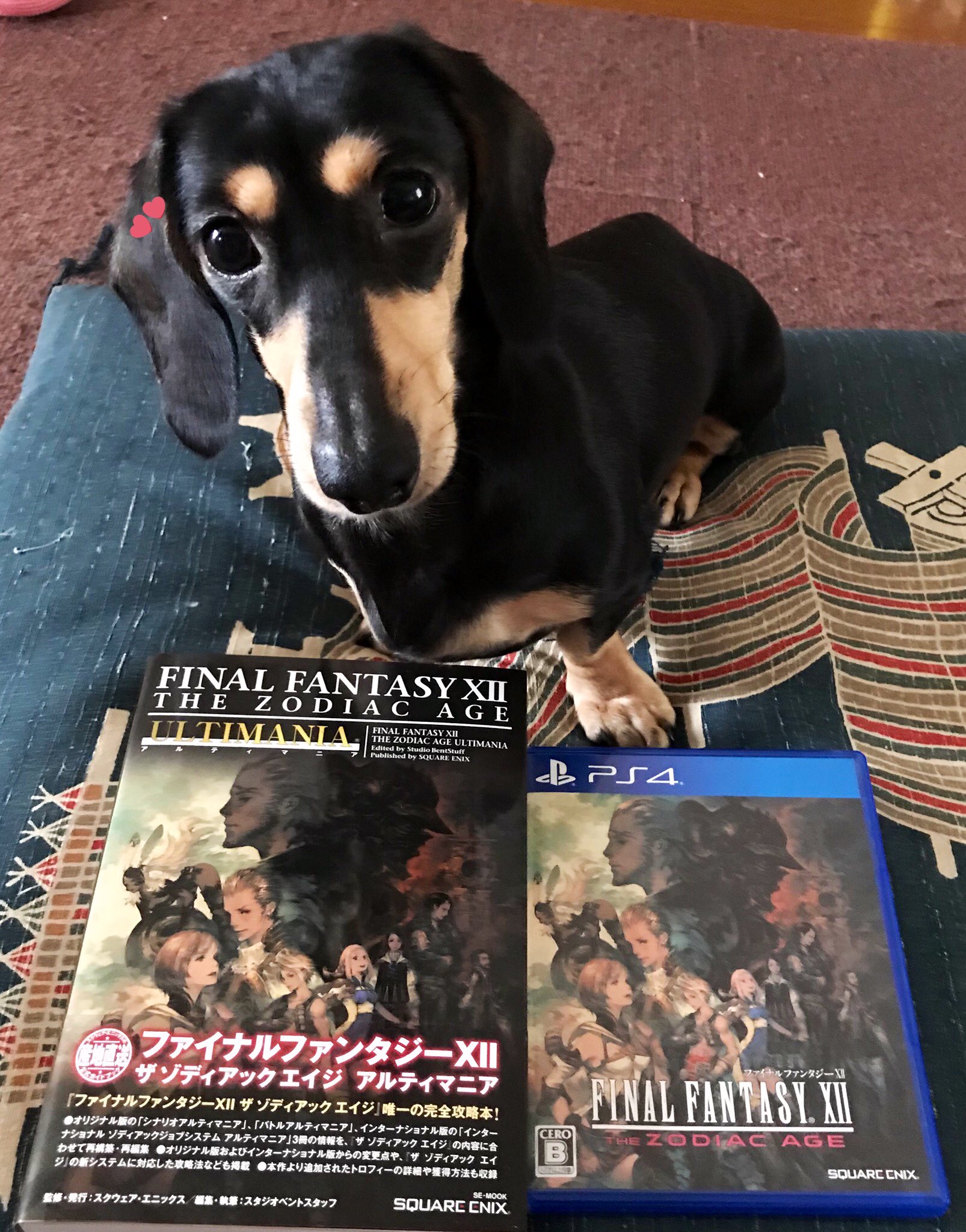 Alice Chocolat Ff12tza ライセンス シリーズのジョブ選択と Ff10 のスフィア盤が一緒になったようなシステム 原作は確か共通 でキャラ差がなかったんですが 今作は1人につき2つのジョブを選べるそう 悩み始めたら永遠に終わらないやつですね しかし