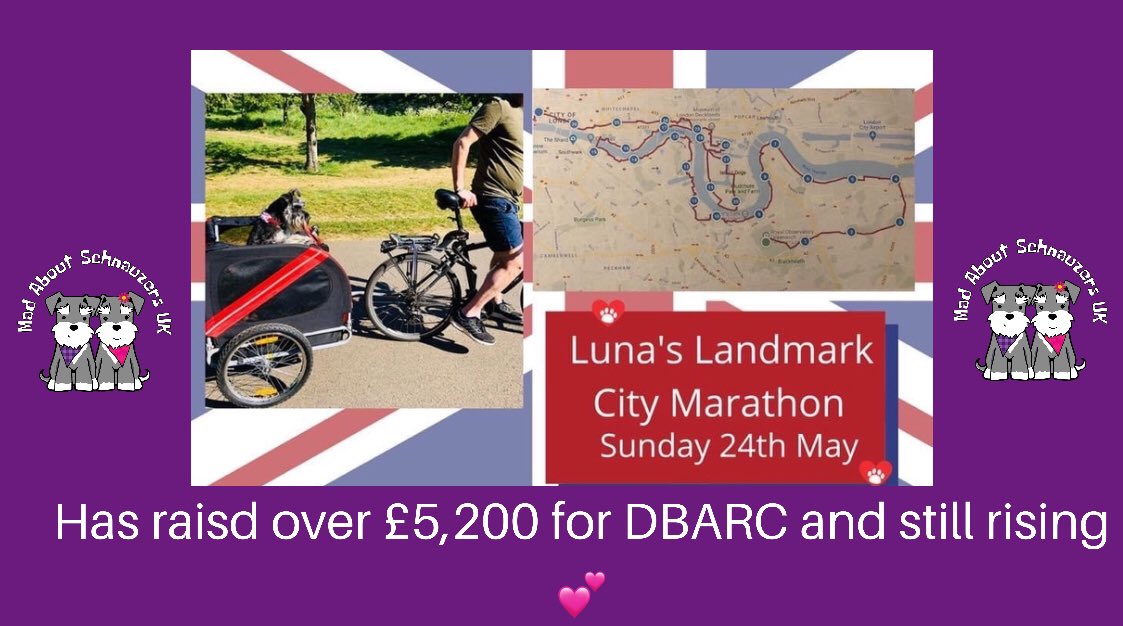 To catch up on yesterdays fantastic event and videos please check them out on Mad About Schnauzer Walks UK Facebook page
<a href="/MadSchnauzers/">Mad About Schnauzers UK</a> 
@DBARCBerks