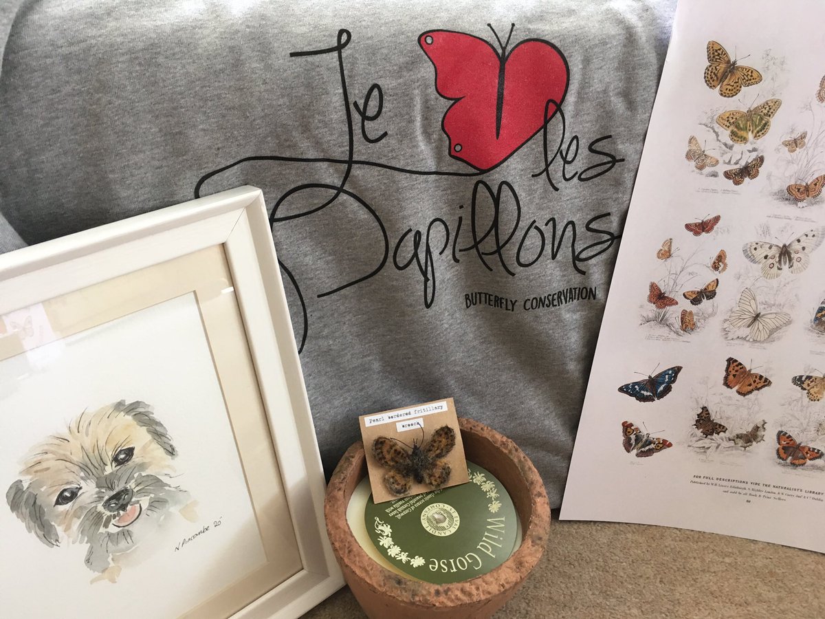 Papillon Gin tweet media