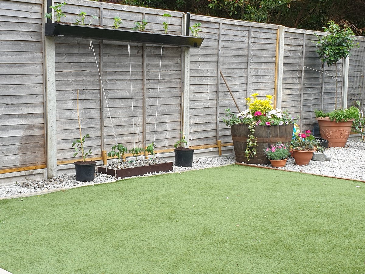 Strawberry all planted cheers <a href="/JAGKEV/">Kev.#GAGF</a>