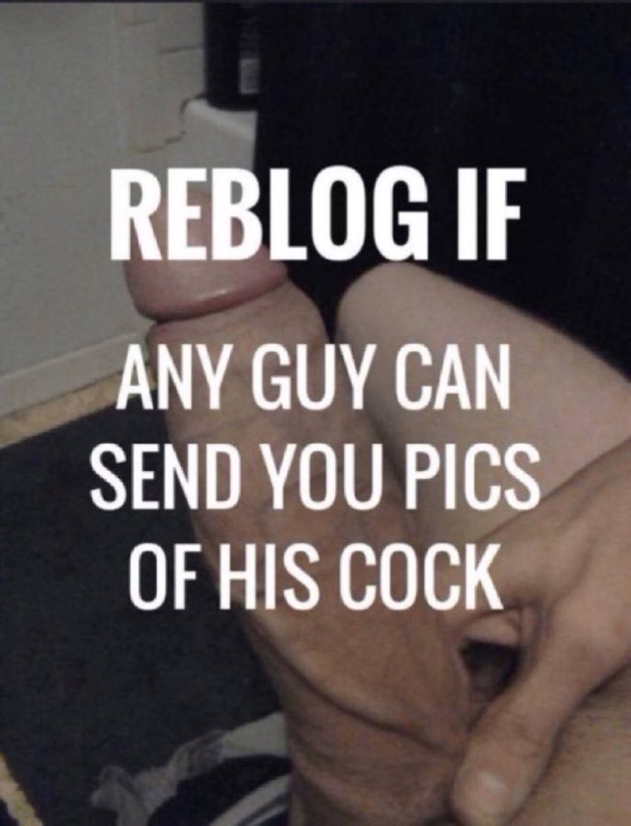 DickRate2's tweet photo. let me see some hot cocks in my pm. i love dick pics with big balls https://t.co/ymLvJva3cC