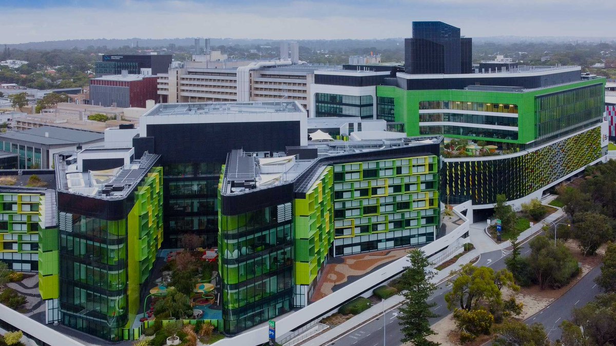 Perth Angels tweet media