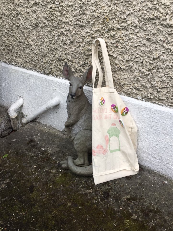 When worlds collide. I found a kangaroo statue while canvassing in county Limerick and introduced it to my trusty TFY pamphlets & badges tote. Firm friends forever. @REPEAL_LK