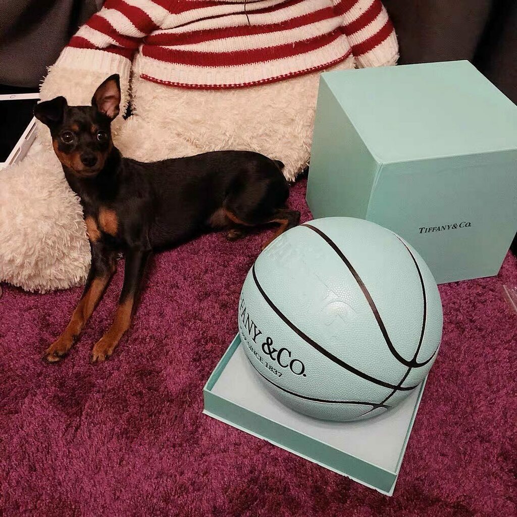 4toys_store's tweet photo. #kaws #kawsbff #kawsart #kawscompanion #kawsforsale #kawsholiday #kawsone #kawssesamestreet #bearbrick #bearbrick1000 #bearbrick400 #bearbrickcollection #kawscollection #supreme #offwhite #tiffany #chanel #offwhite #collection #collectibles #collectiblesforsale https://t.co/uRyfuJC50a