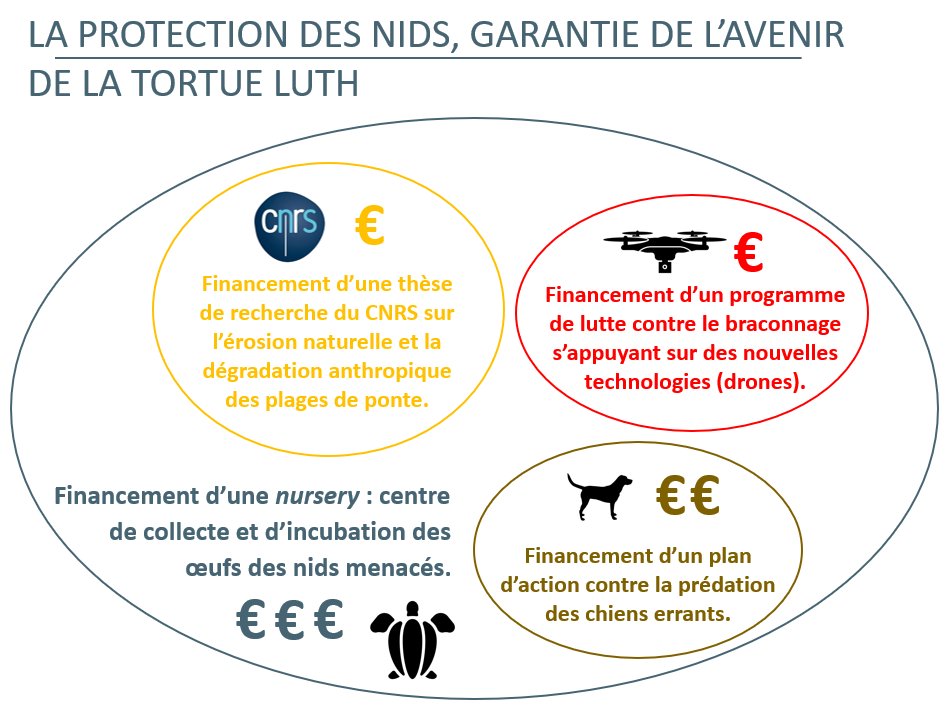 Voici quelques pistes pour la protection des nids présentées lors d’un échange avec la  @FondationMer  @SBezieux (20/23)