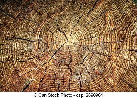 ChrisLewie's tweet image. Pay attention to the spirals.👀🌀🌪
#FibonacciSpirals #Circles