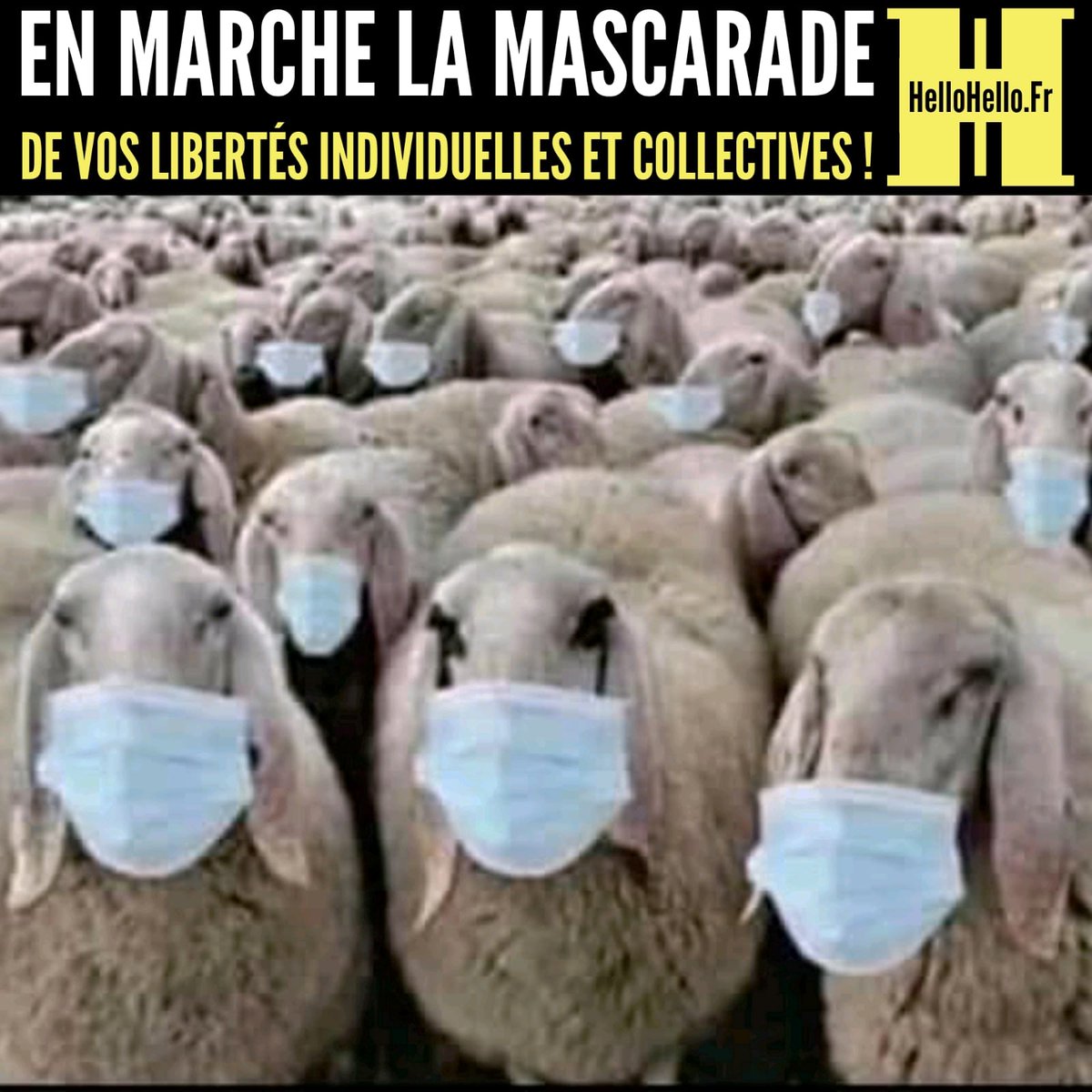 HelloHelloInfo's tweet photo. #EnMarcheArrièreLaLiberté
#HelloHelloInfo #HelloHelloNews #InfoDuPeuple #GJ #Covid #Boycott #InfoDissidente #FrExit #StopCorruption #StopChemtrail #IntelligenceCollective #StopVaccination #GlobalDebout #ConvergenceDesLuttes #GiletsJaunes #OnVautMieuxQueCa #OnBloqueTout https://t.co/5pKP8YE47U