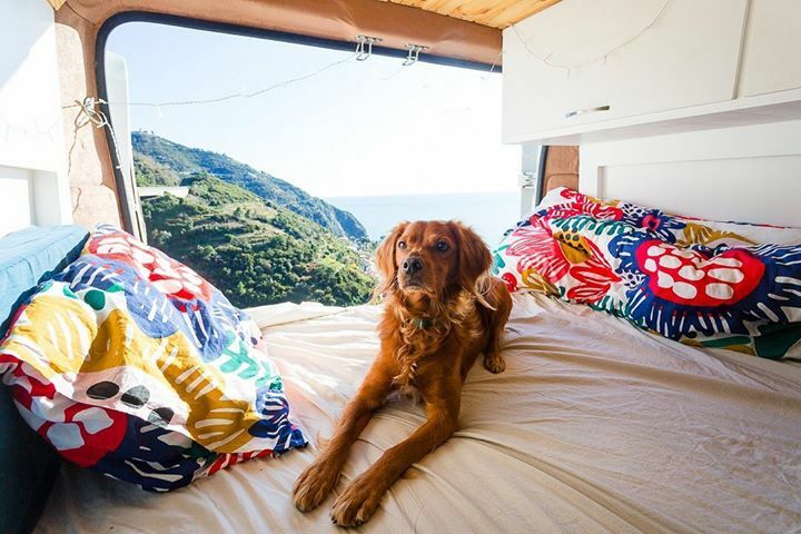 Sun shining makes you wanna stay outside all day long! Can’t waste a minute of it, just in case tomorrow it rains again... Touch wood! And have a happy Monday! •
•
•
•
•
#stayandwander #theoutbound #letsgosomewhere #instagoodmyphoto #exploremore #adventuredog #dogsthathi…