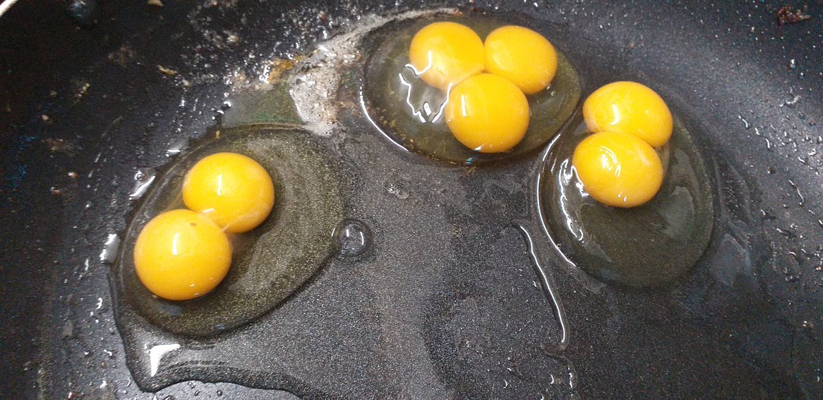 ScientistAt's tweet photo. I am just so damn proud of my chicken right now. This is her first 3 eggs. #superChook https://t.co/y7A4RngpXH