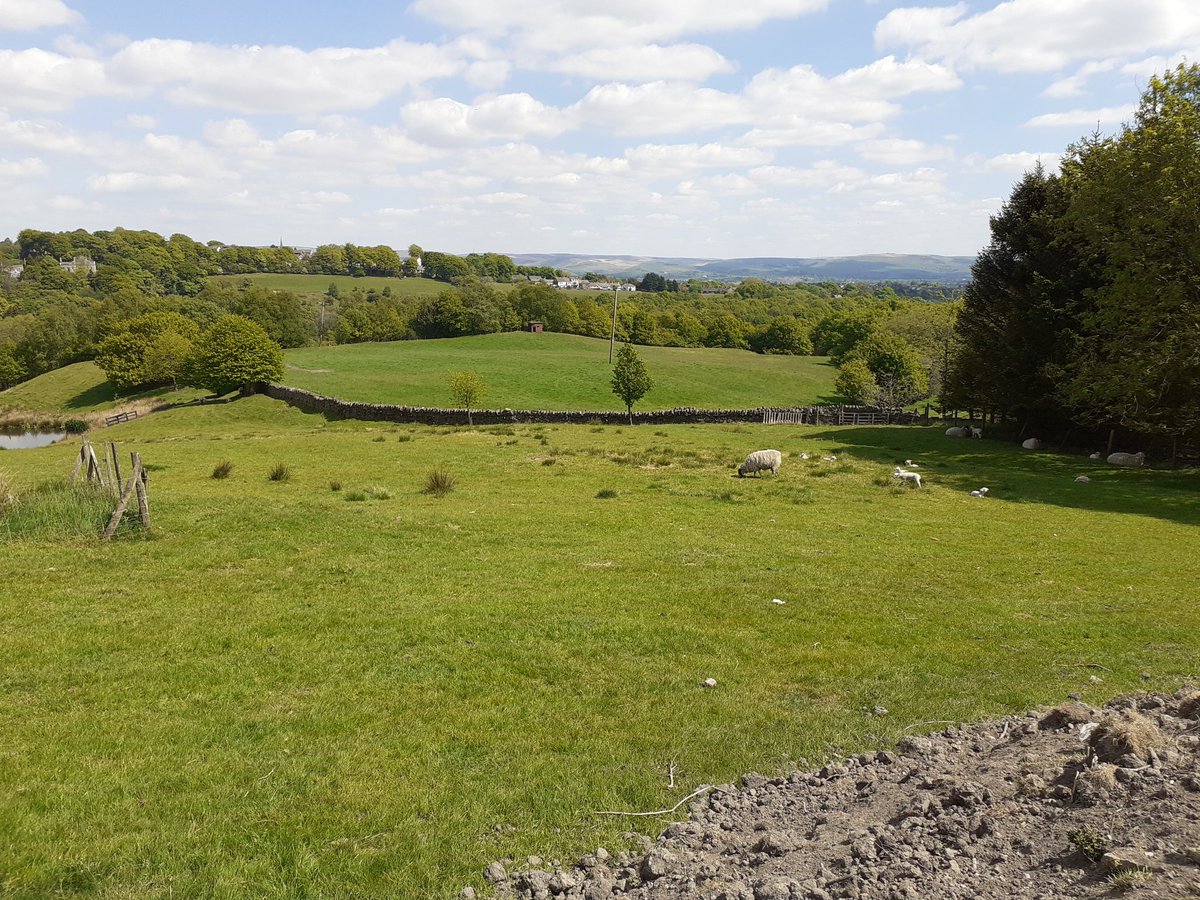 Time to turn my attention, this week, to creating a relaxing space to admire this stunning view from :) #gardendesign #northwest