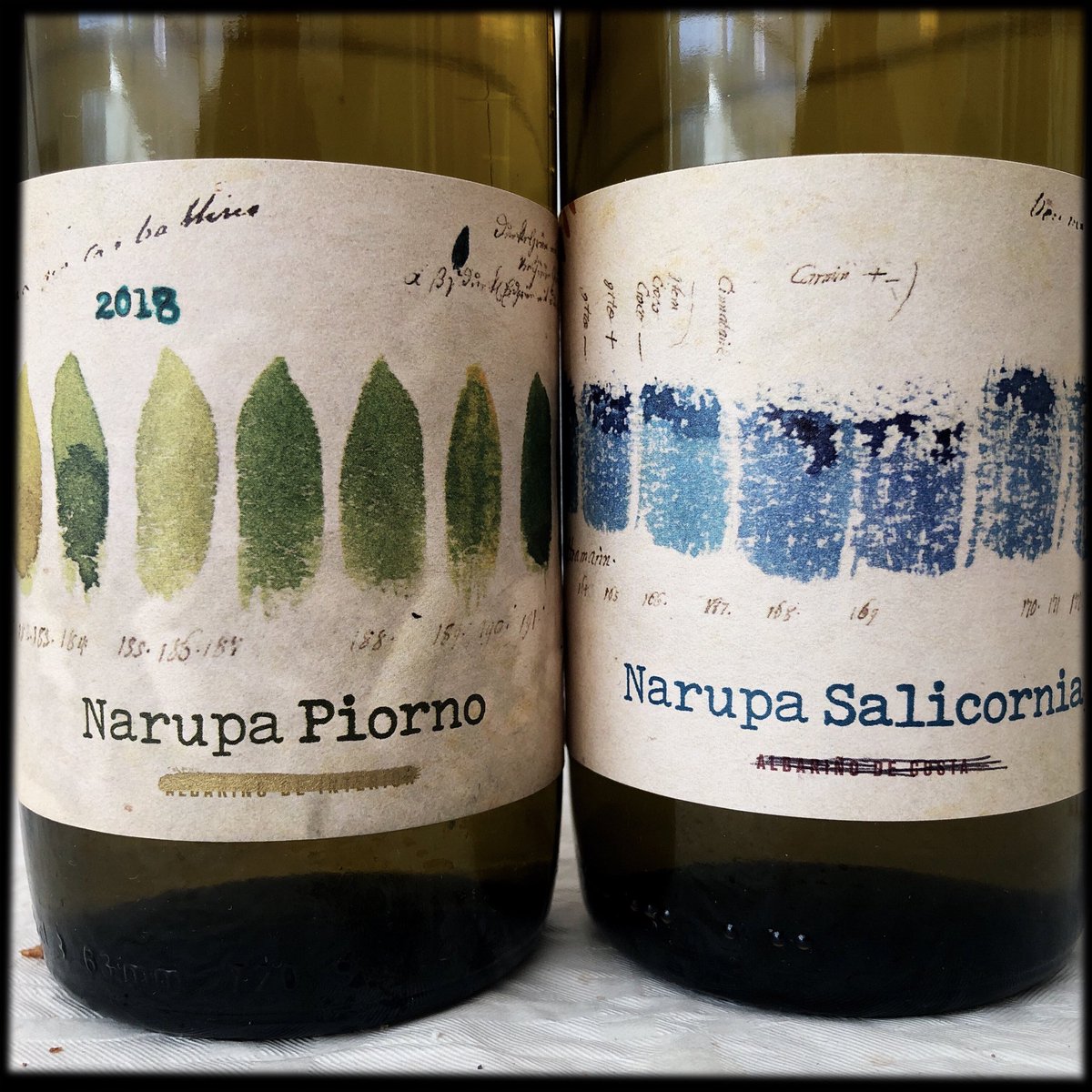 Albariño de interior, Albariño de costa