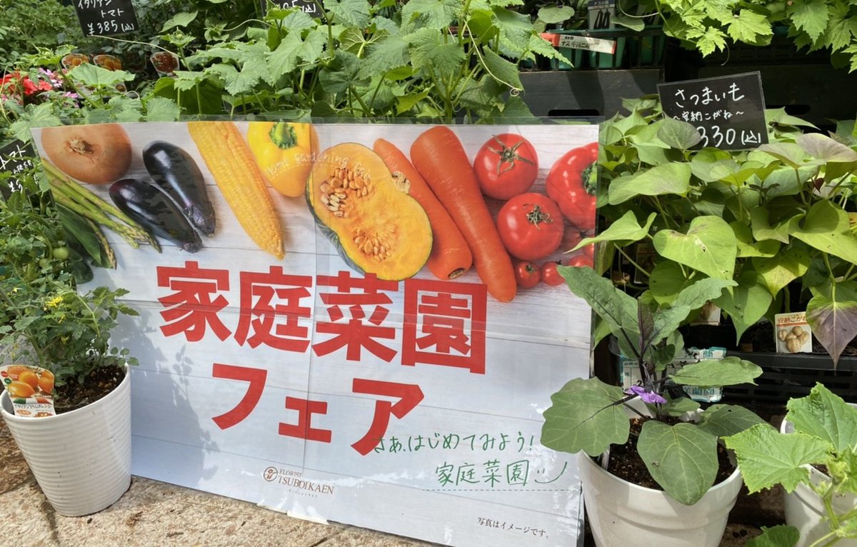 坪井花苑 本店 Auf Twitter 坪井花苑 三越星ヶ丘店では 家庭菜園フェアを開催中 トマトやナス 大葉など 夏の野菜が大集合 ステイホームの今 家庭菜園がひそかにブームになっているんです 育てて楽しい 食べて美味しい おうち時間に 家庭菜園 家庭菜園
