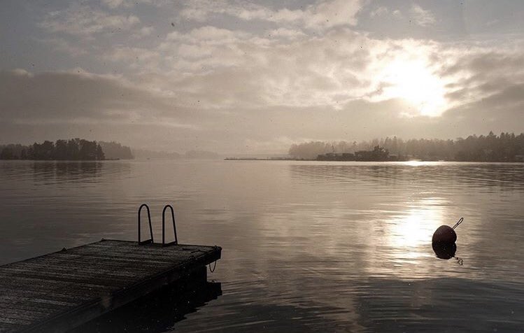 Laura Ahonen tweet media