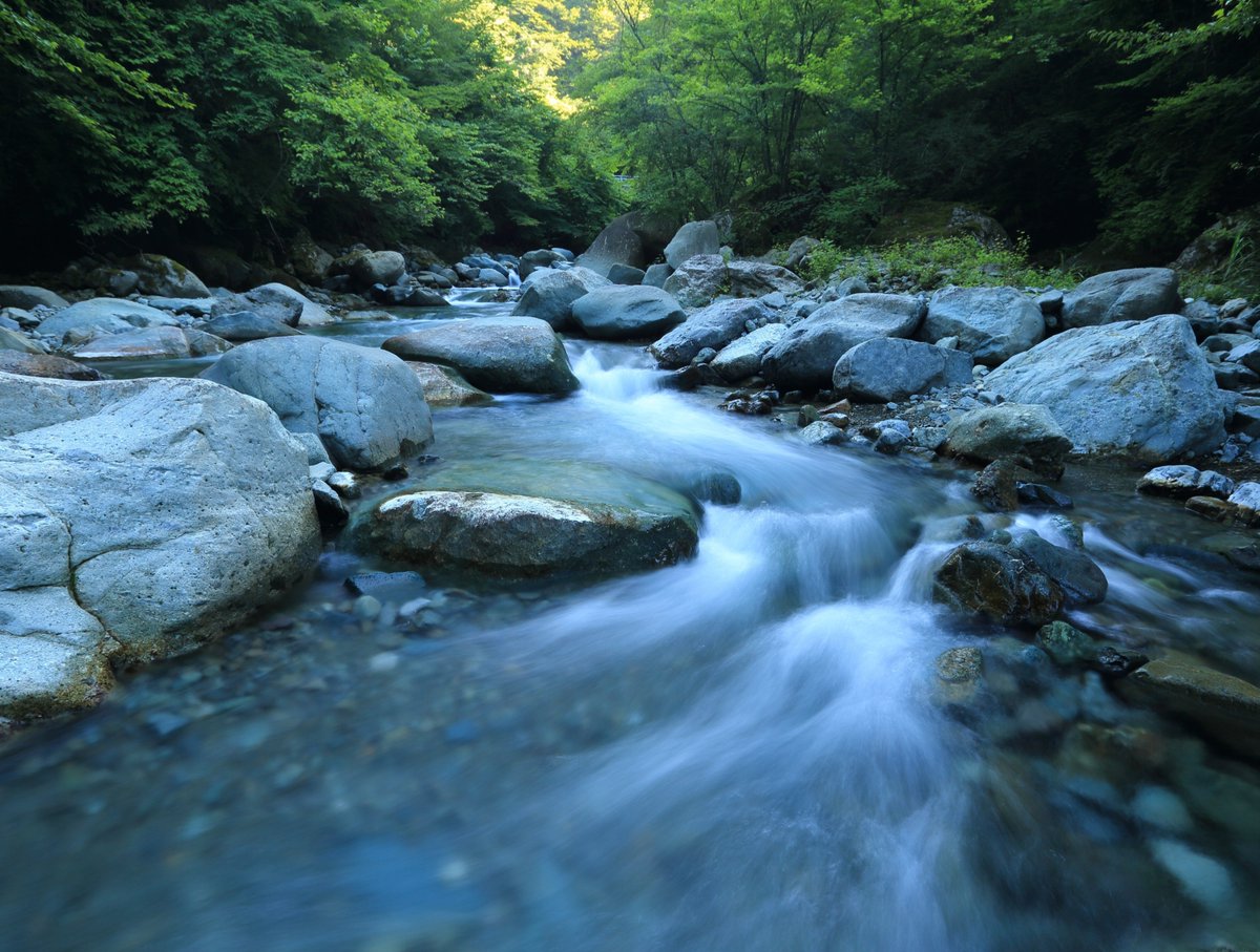 IHEDelft_WDPP's tweet image. How do we share knowledge, learn, and how do we raise more ownership and responsibility about #water matters among our staff,  families, society, and current and future generations? 

Join the upcoming session at the #CapDevSymp @ihedelft this Wednesday 👉 bit.ly/3bZ03Fh