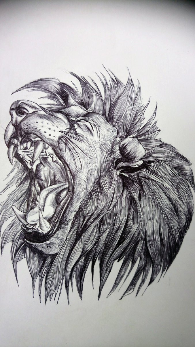 Ink Pen Drawing Lion Head On Stock Illustration 392513722 | Shutterstock