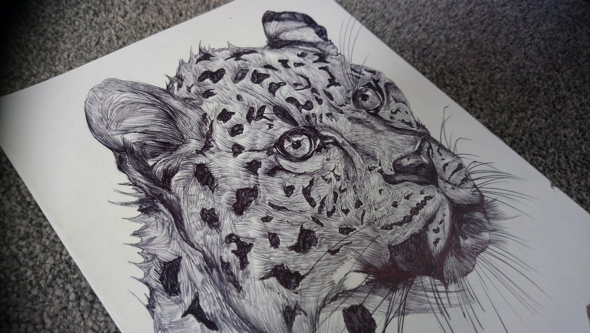 shaunaldo1's tweet photo. Morning @HandmadeHour some old doodles i made awhile back, bit different to linocut. Pen drawings of various wildlife, mixed media #drawing #artontwitter #Artist #illustration #pensketch #thewild #collagedraw #lion #roar #predator #dark #leoparddrawing #bigcats #twitterdraw https://t.co/Lwp1t4qlvI