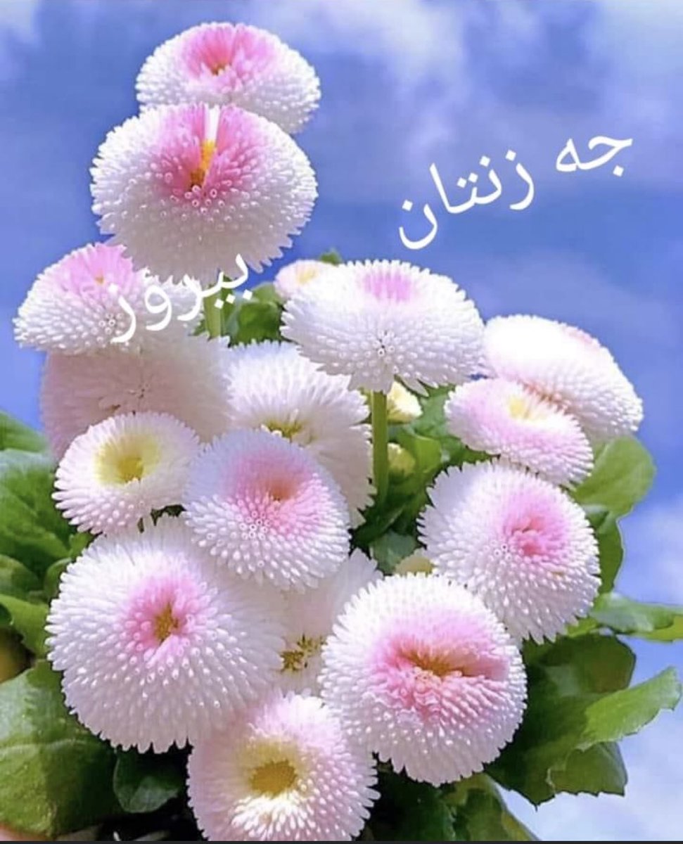 Thesis Gate Research Center (@gate_thesis) on Twitter photo 