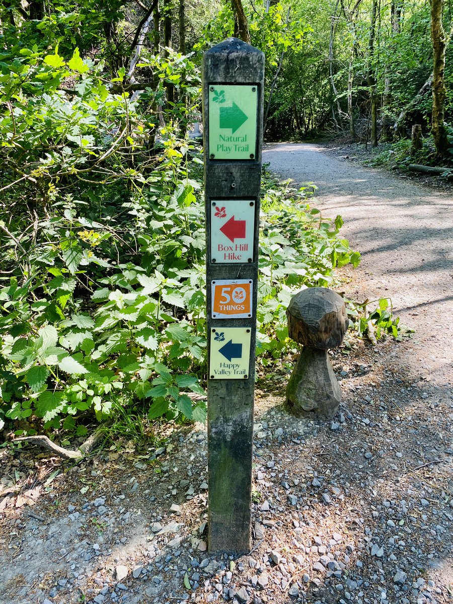 Scottish_Claire's tweet photo. Glorious walk round Boxhill this morning 🌲 Half way round and feeling the effects of all the excess weight I have put on during lockdown 🥵 #BoxhillHike #boxhill #surreydowns https://t.co/R3rv3Y3POu