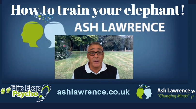 Ash Lawrence tweet media