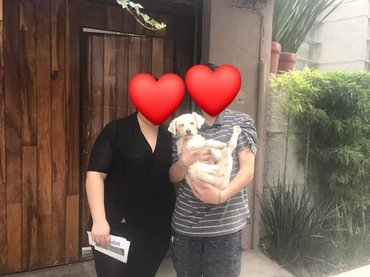 Apoyo_Croqueton's tweet photo. #Actualizamos #MORATI fue #ADOPTADO gracias por la ayuda si quieres adoptar o apoyar a Ivette Info 5564155557
@akyoshi09 @raquelgarzac @criswire282 @mematikisw @Janinah18 @AGabrielaVives @PaolaFrida @lourdesdse @8alobo @Froggieland @inakimanero @FansDeMiyagi @antymob @patycons https://t.co/KQsvOmwWGw