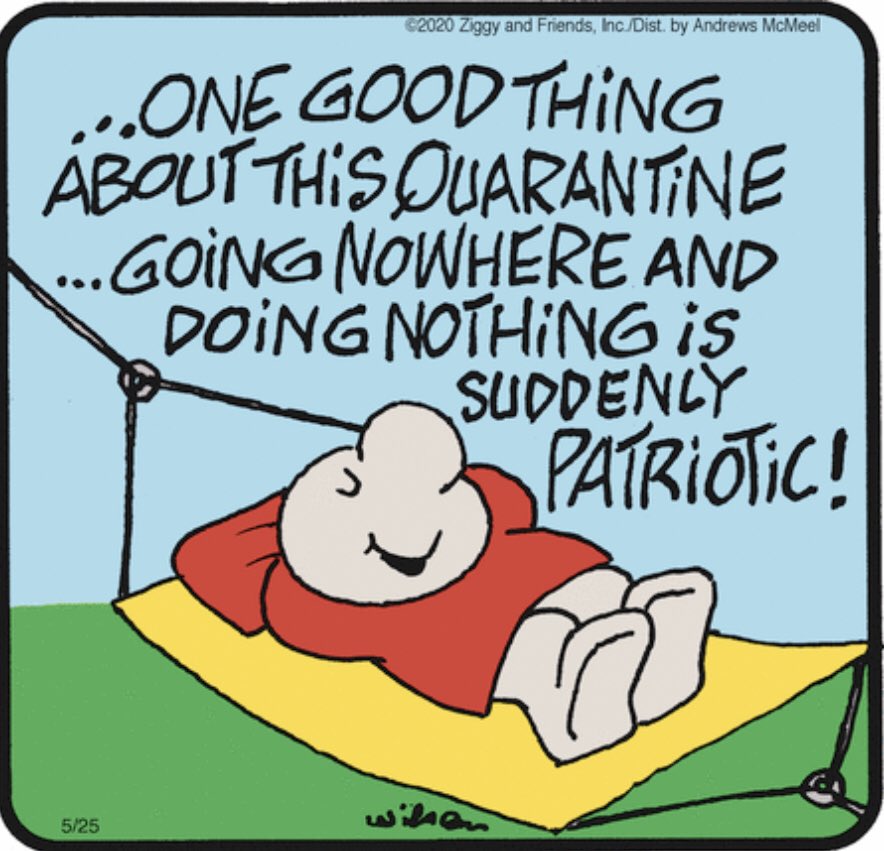 SeattleBirdMan's tweet image. Thought for the day: