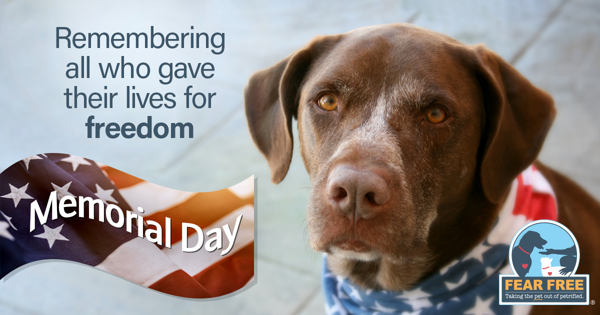 Dog Training by Jarod 🐶 (DogTrainerJarod) Twitter