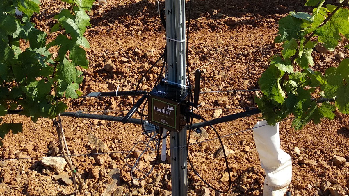 grapevine_pro's tweet image. Field sensors for @grapevine_pro project collecting climatic information!
#agronomy
#predictivemodels