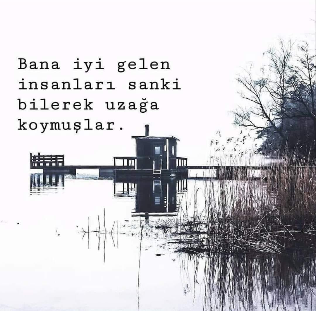 leylasultan__'s tweet photo. https://t.co/mKP4lInhPR