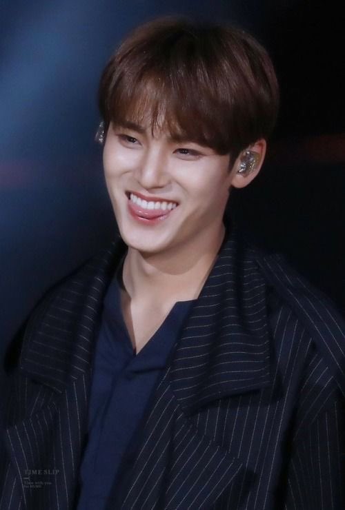 because of kim mingyu, and his sexy smile that will make you fall for him 