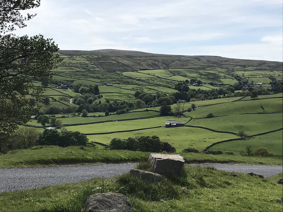 Filming red kites and buzzards in the Yorkshire Dales. Dominic who?