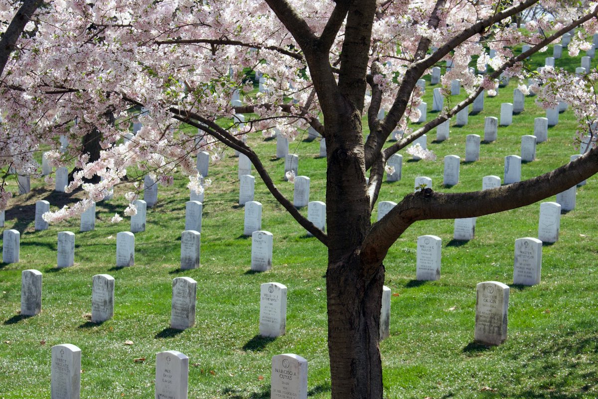 This day is not about America’s veterans. It’s about those who never had the chance to become veterans because they sacrificed their lives during their service. We honor them this #MemorialDay