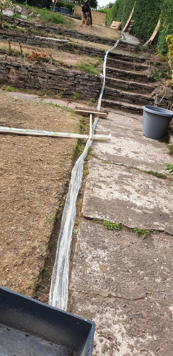 KBLovesBrie's tweet photo. @TheRangeUK I bought a ten pack of 8ft bamboo canes, a pack of 6 arrived three weeks later, wrapped in 38ft of cling film...german shepherd for scale!
Soooooo much unnecessary plastic and 4 bamboos missing - please help! https://t.co/hpsUGwVwYP