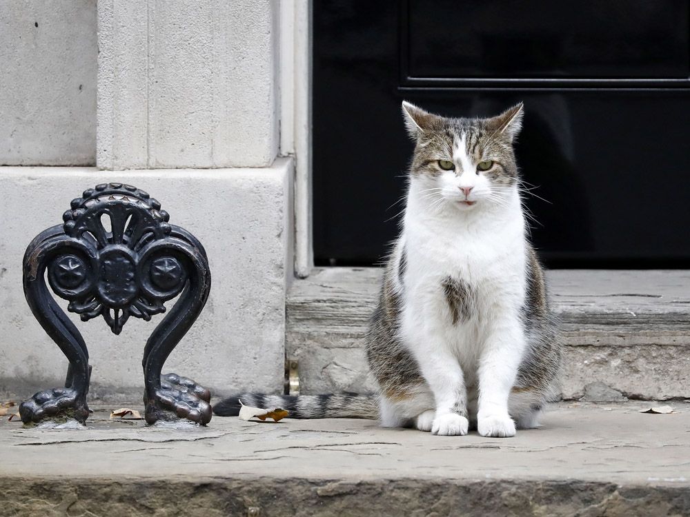 Alex James tweet media